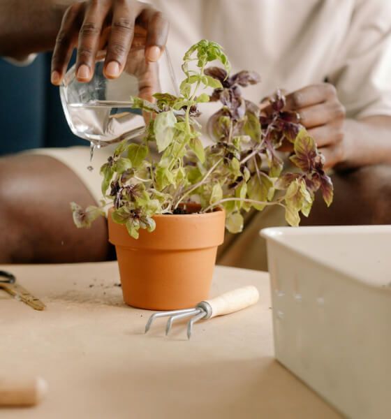 Why Choose Us